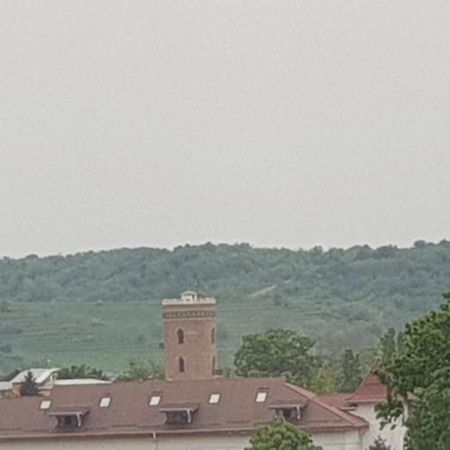Hellen Apartament Targoviste Exteriér fotografie